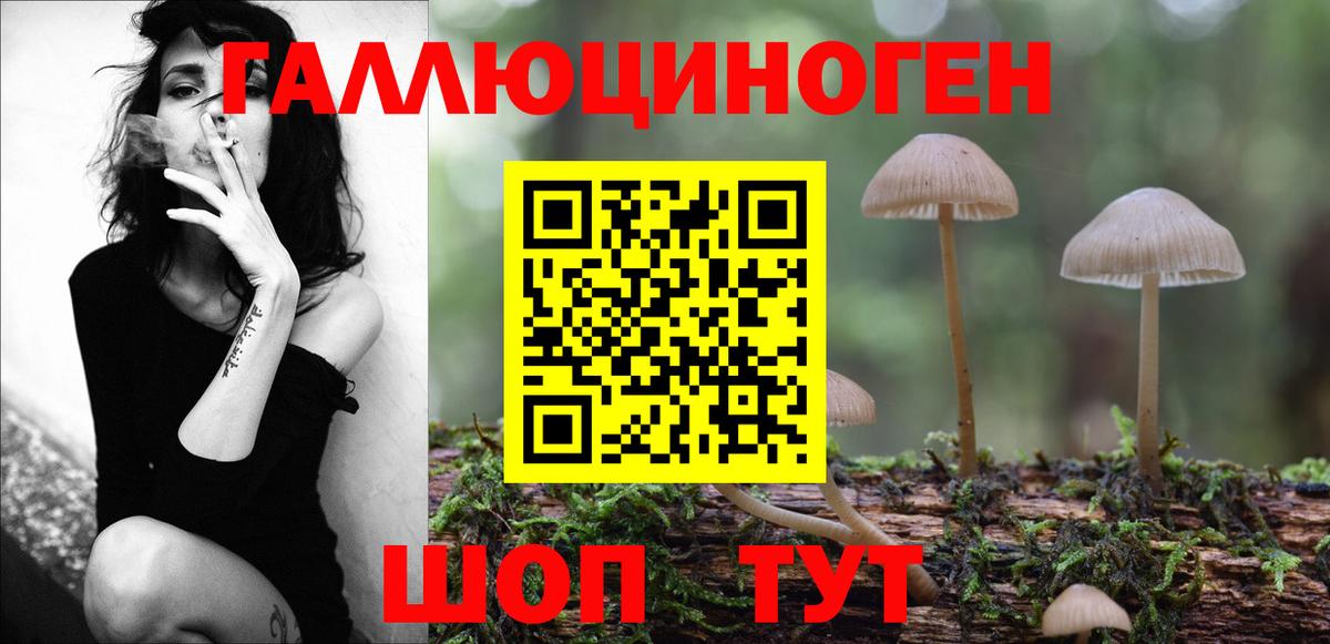 Тулун  Псилоцибиновые грибы мицелий  Галлюциногенные грибы мухоморы  купить  сайты  Вход с VPN 