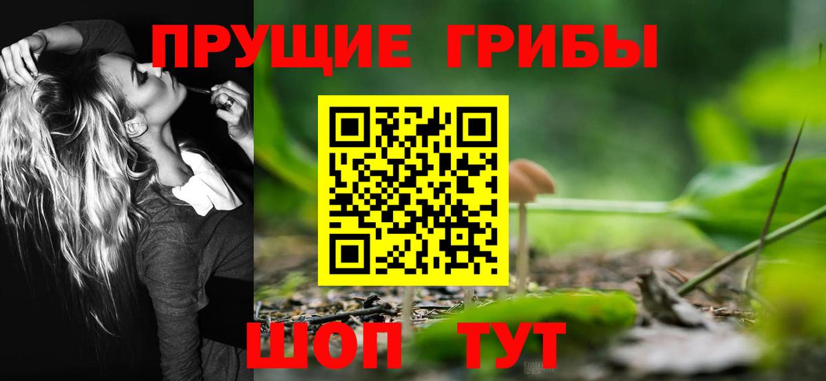 Псилоцибиновые грибы Psilocybine cubensis Тулун